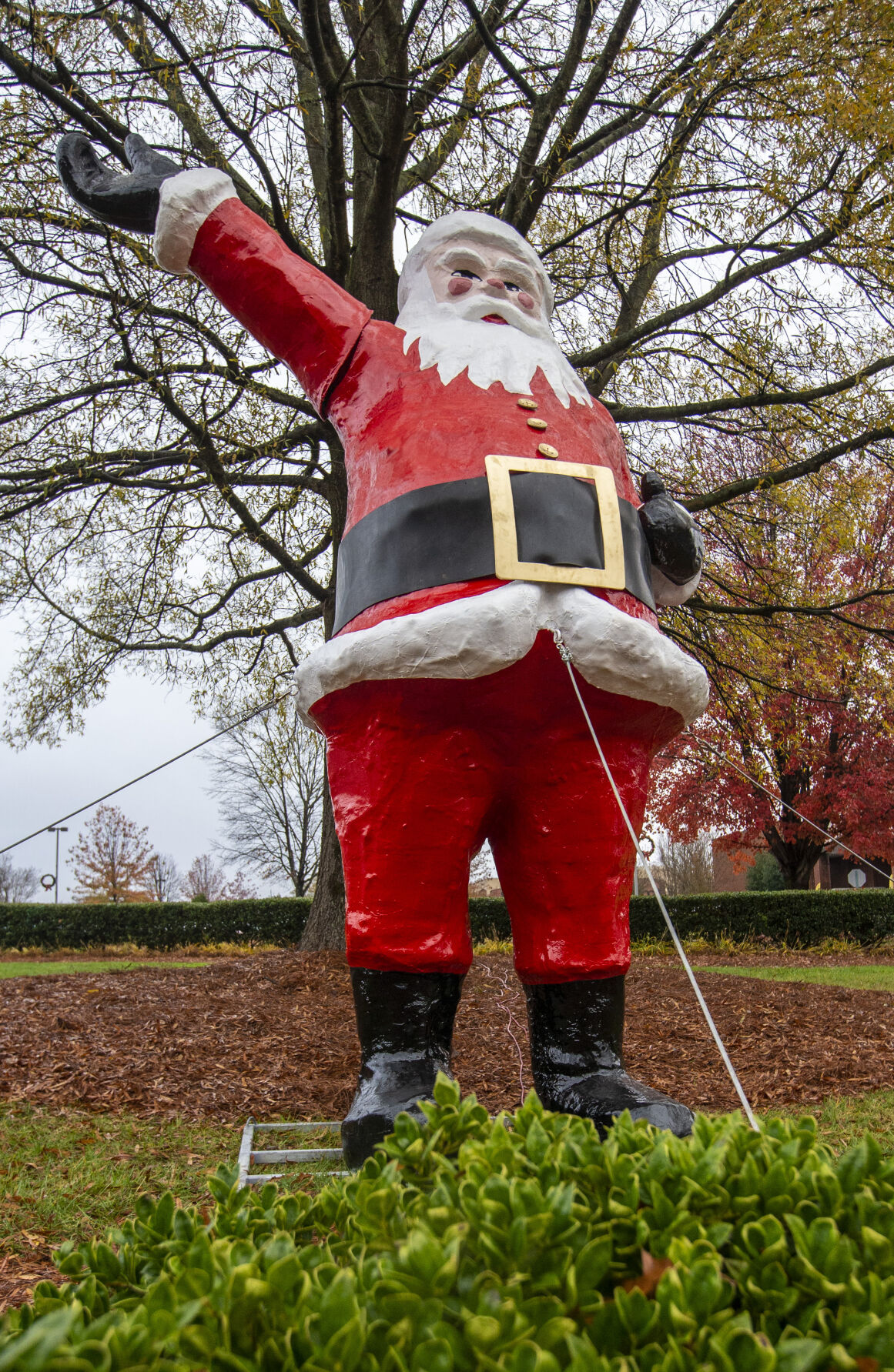 Santa
